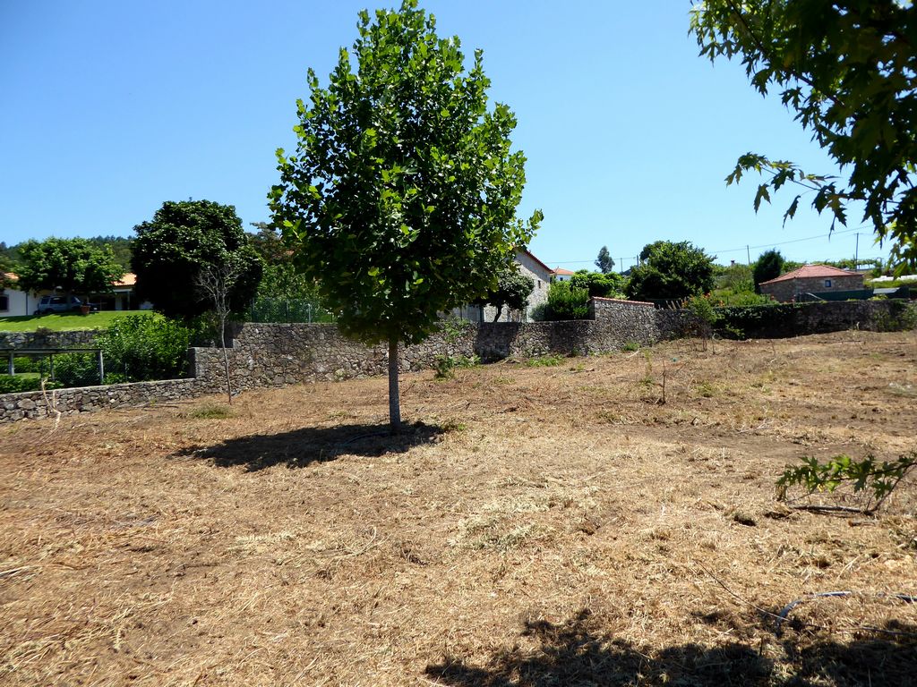 Land plot for house construction